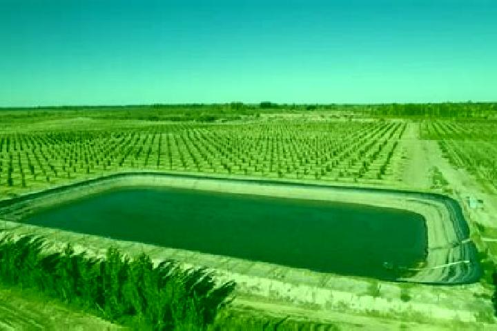 escort Balsas de Agua