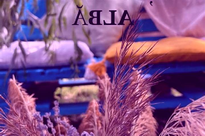 escort Balta Alba