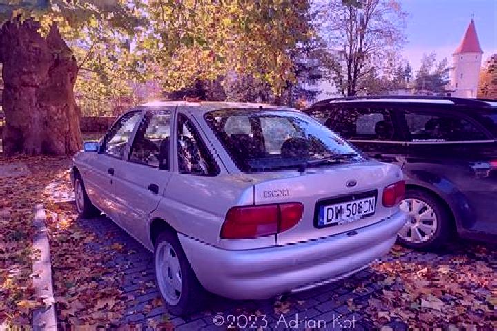 escort Baltzenheim