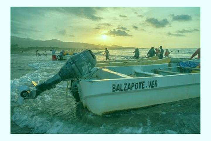 escort Balzapote