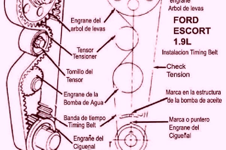 escort Banda
