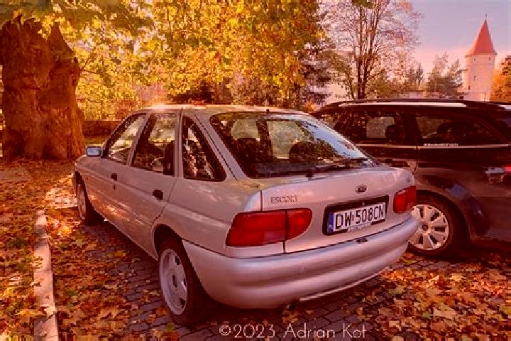 escort Banghai