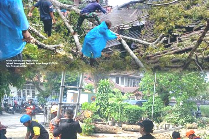 escort Bangunmulyo