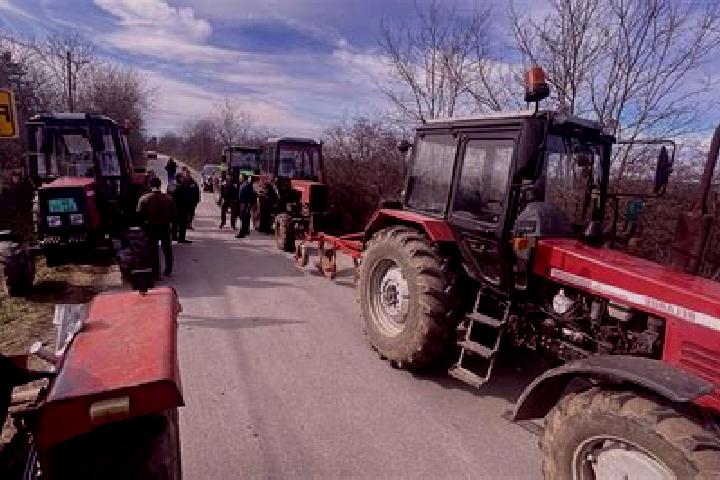 escort Banovo Polje