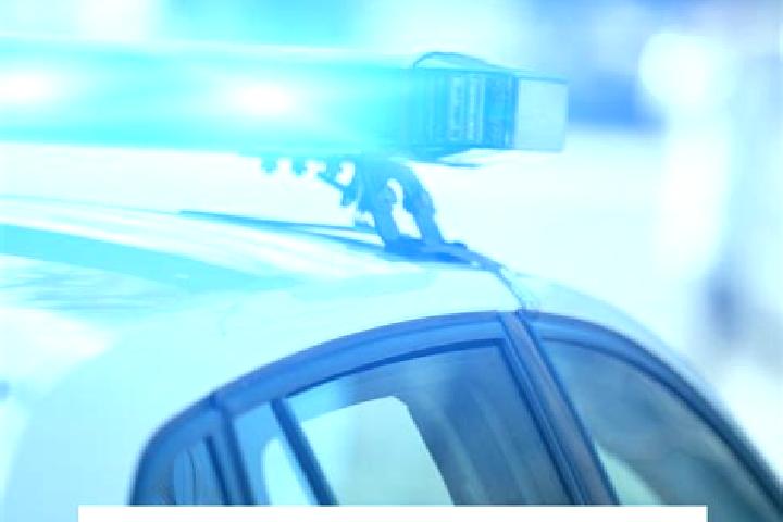 escort Bargersville