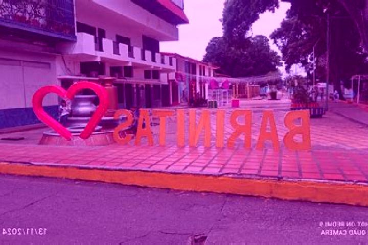 escort Barinitas