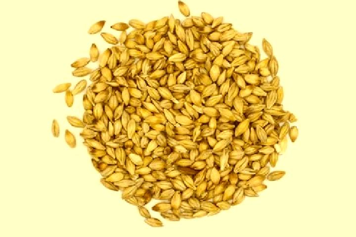 escort Barley