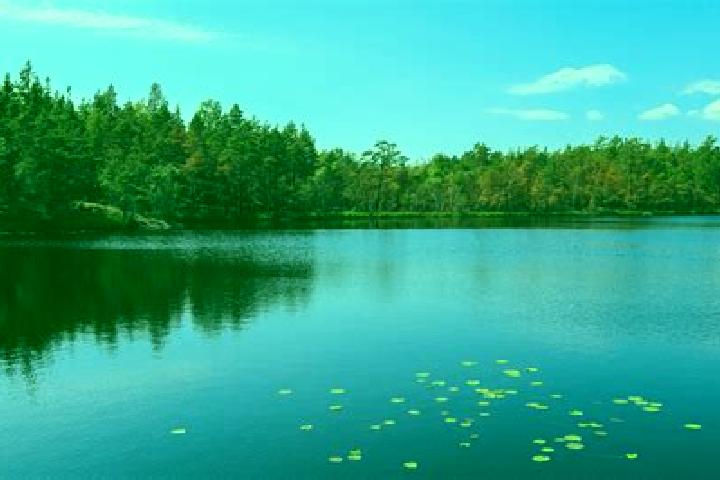 escort Barnes Lake-Millers Lake