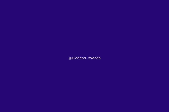 escort Barnsley