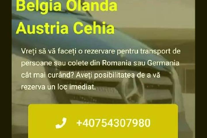 escort Barsestii de Jos