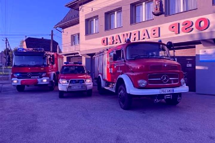 escort Barwald Gorny