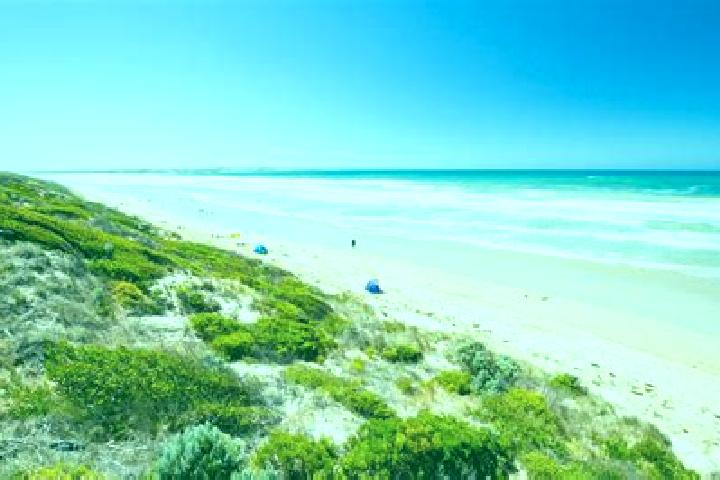 escort Barwon Heads