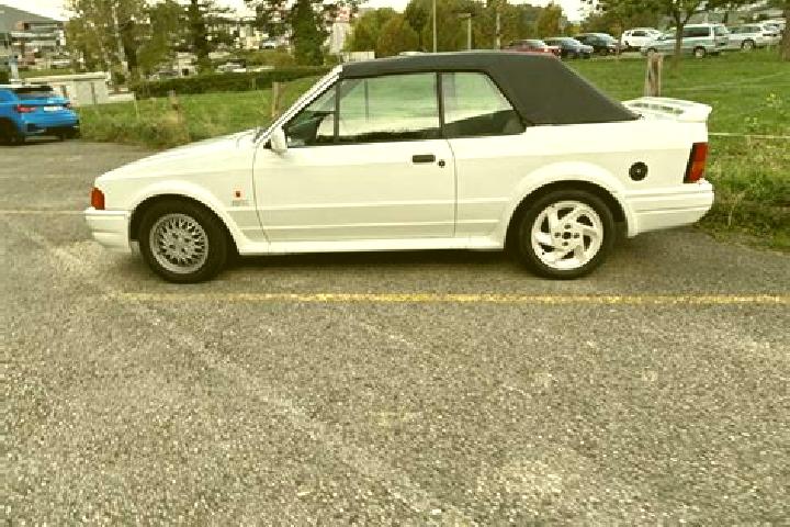 escort Bas-Vully