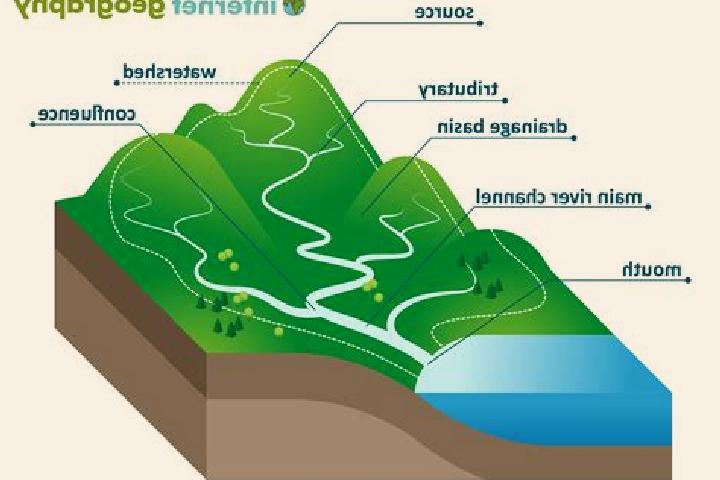escort Basin