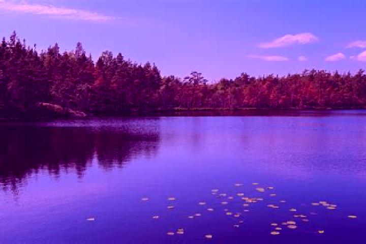 escort Bass Lake