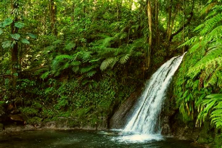 escort Basse-Terre