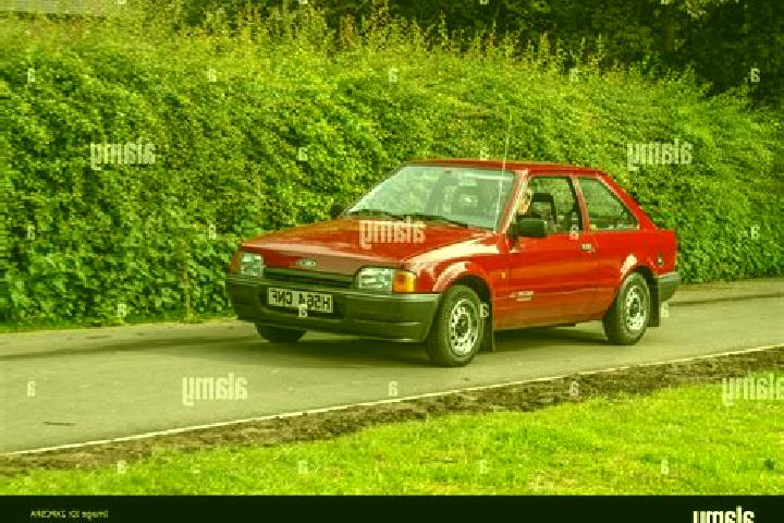 escort Bassingbourn