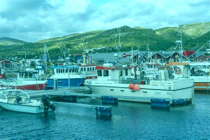 escort Batsfjord
