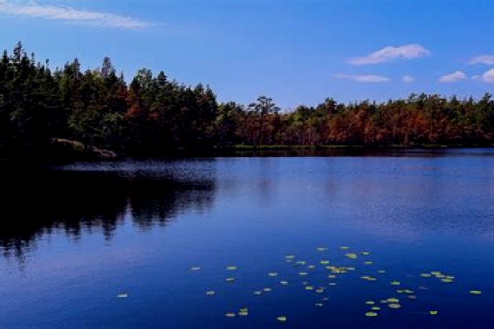 escort Battle Lake