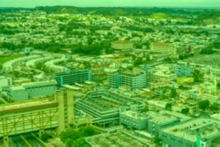 escort Bayamon