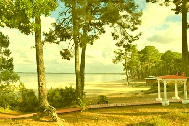 escort Bayon-sur-Gironde