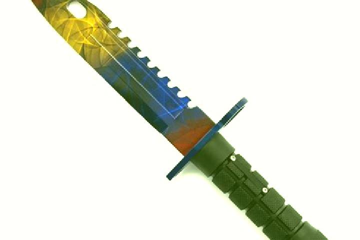 escort Bayonet Point