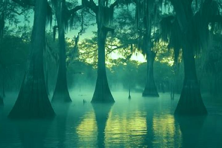 escort Bayou Goula