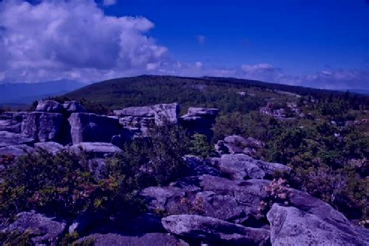 escort Bear Rocks