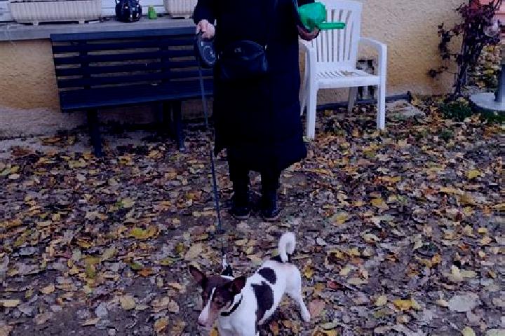 escort Beaurepaire-en-Bresse