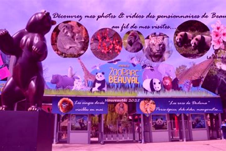 escort Beauval