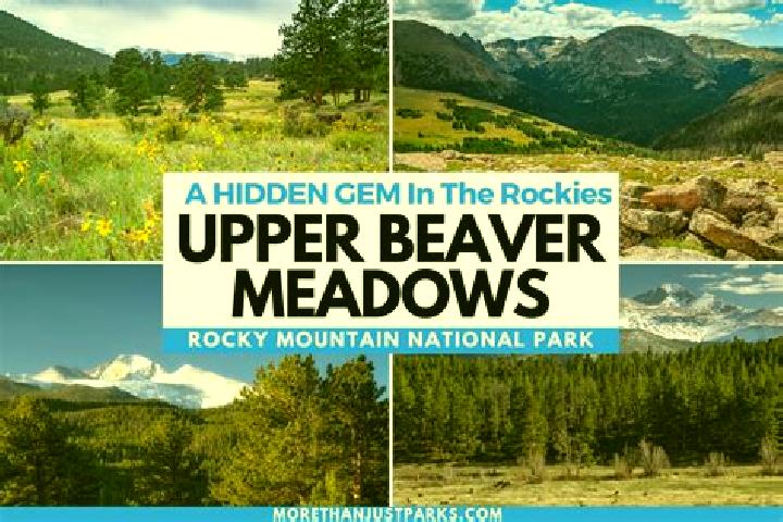 escort Beaver Meadows