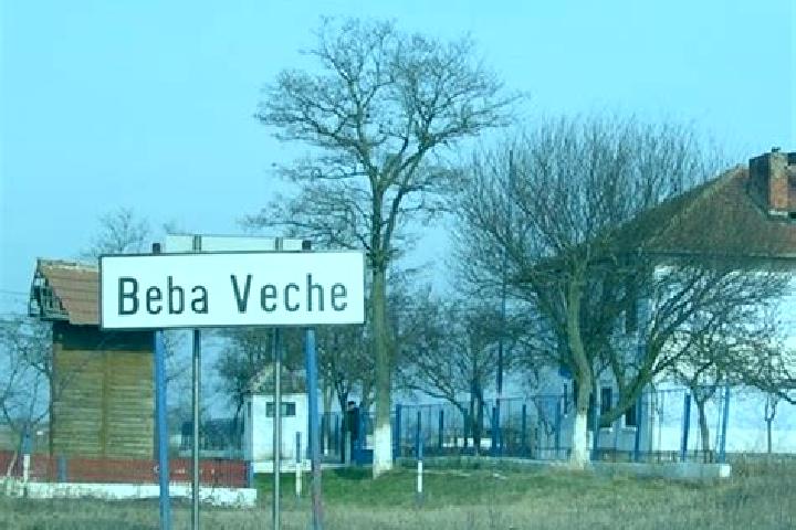escort Beba Veche