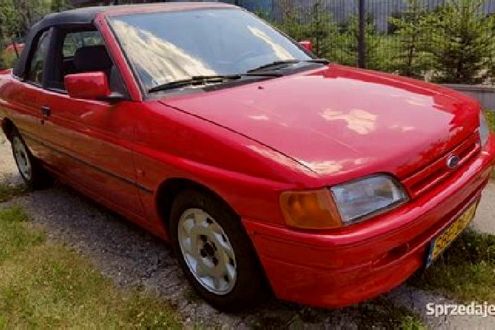 escort Bedzin