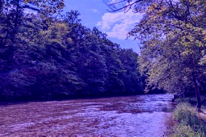 escort Beech Creek