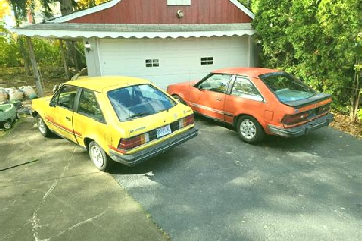 escort Beechwood