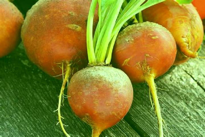 escort Beets