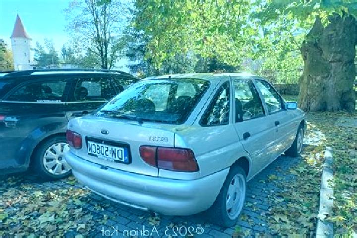 escort Behringen