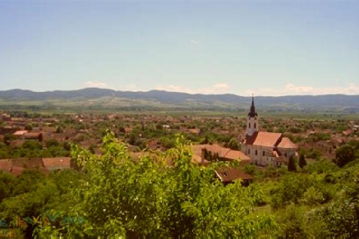 escort Bela Crkva