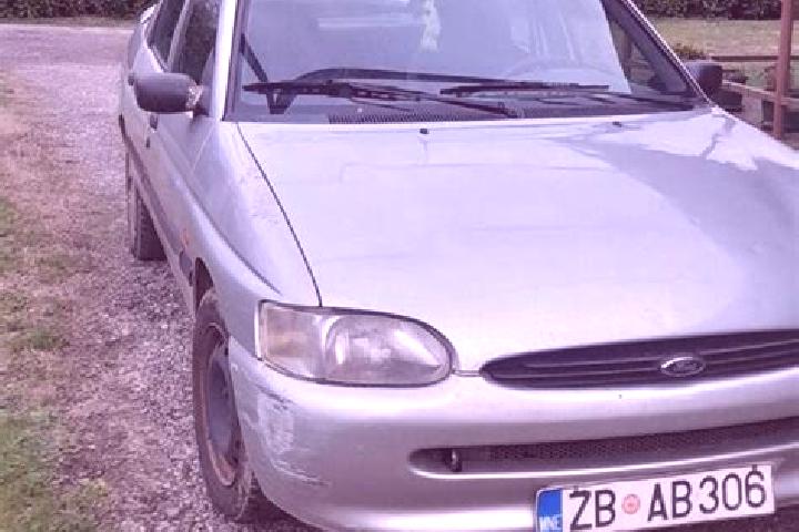 escort Belaya Gora