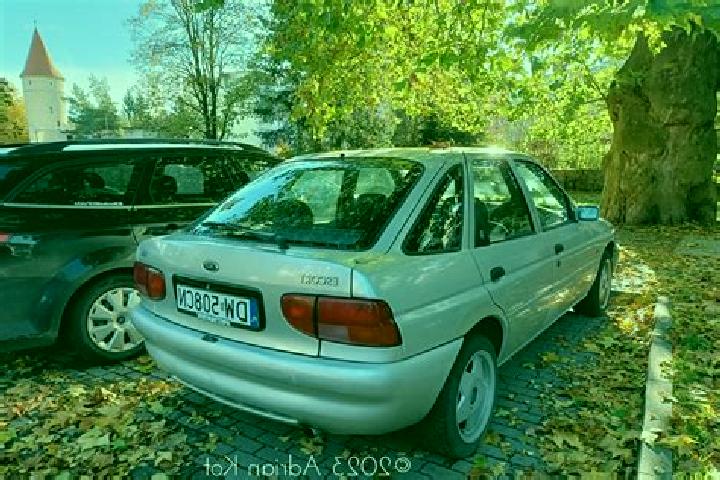 escort Belcourt