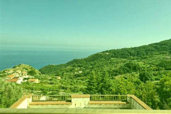 escort Belmonte Calabro