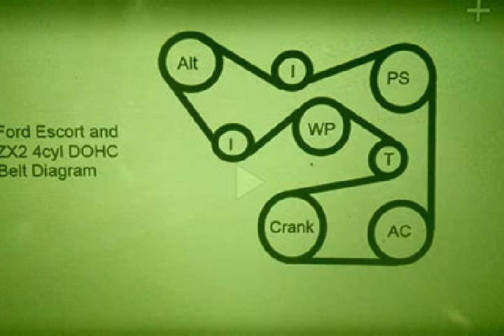 escort Belt