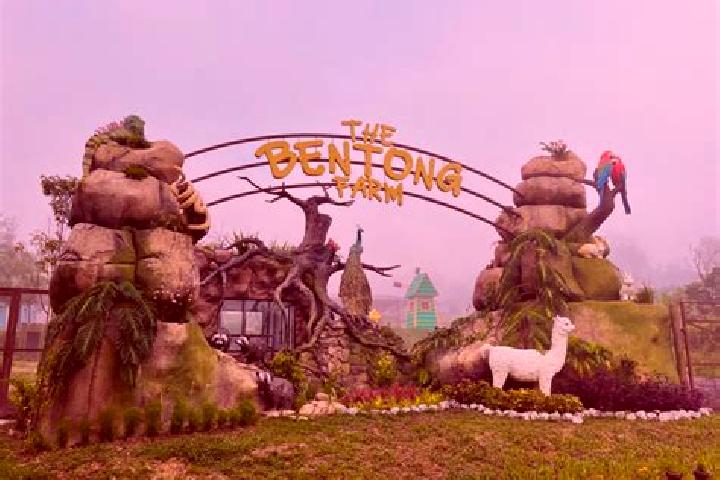 escort Bentong Town