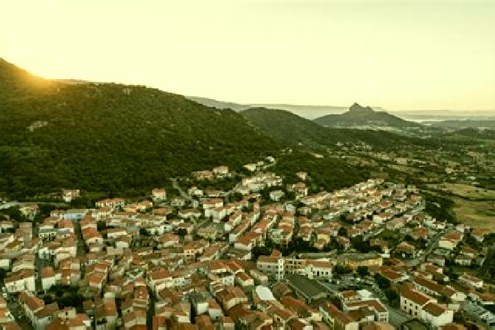 escort Berchidda