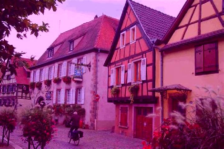 escort Bergheim
