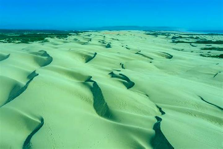 escort Bermuda Dunes