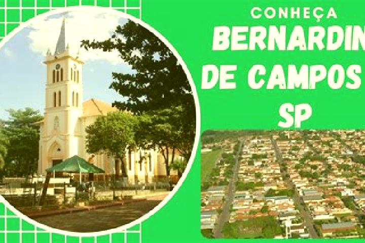escort Bernardino de Campos