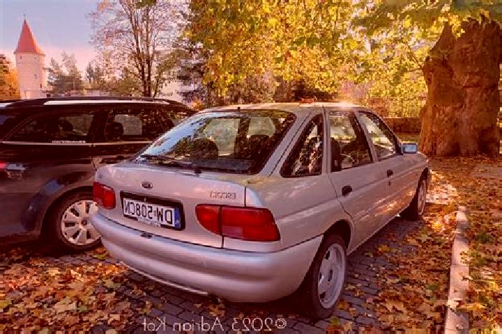 escort Bersenbrueck