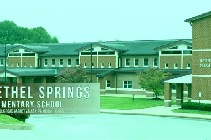 escort Bethel Springs