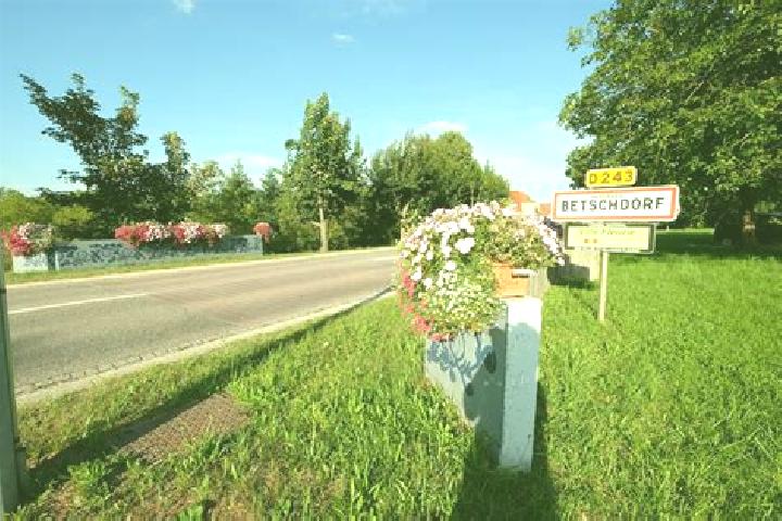escort Betschdorf